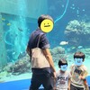 パパが兄弟をワンオペする。うっかりしてるとこうなるヨネ