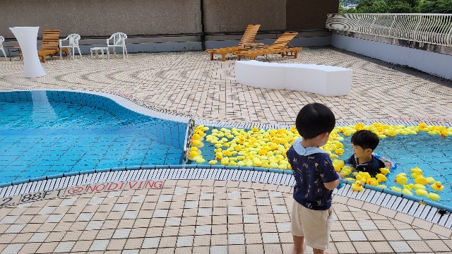 f:id:saka7k:20230812131228j:image