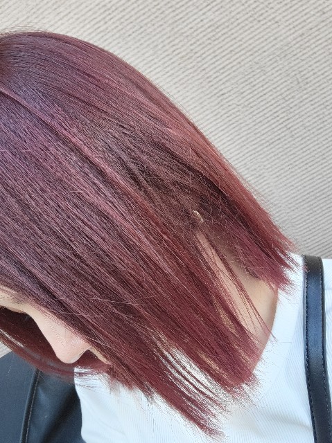 f:id:saka7k:20230815230419j:image
