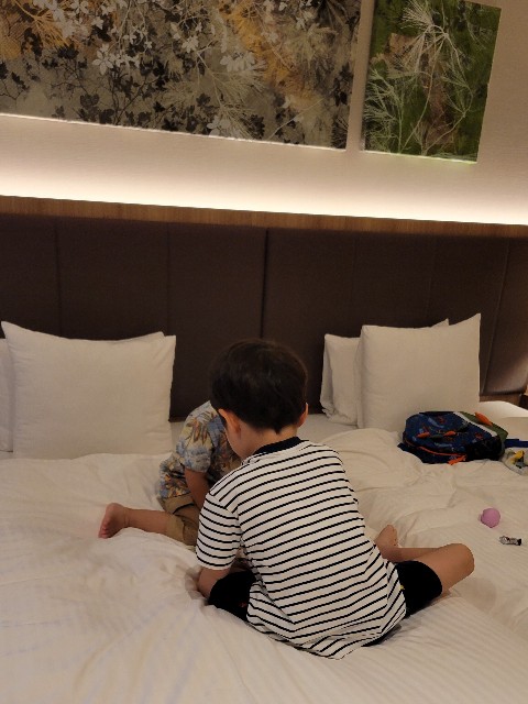 f:id:saka7k:20240724114929j:image