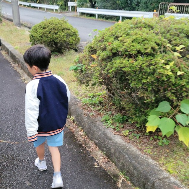 f:id:saka7k:20241128102213j:image
