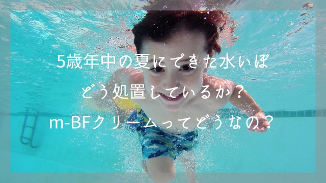 f:id:saka7k:20241224112145j:image